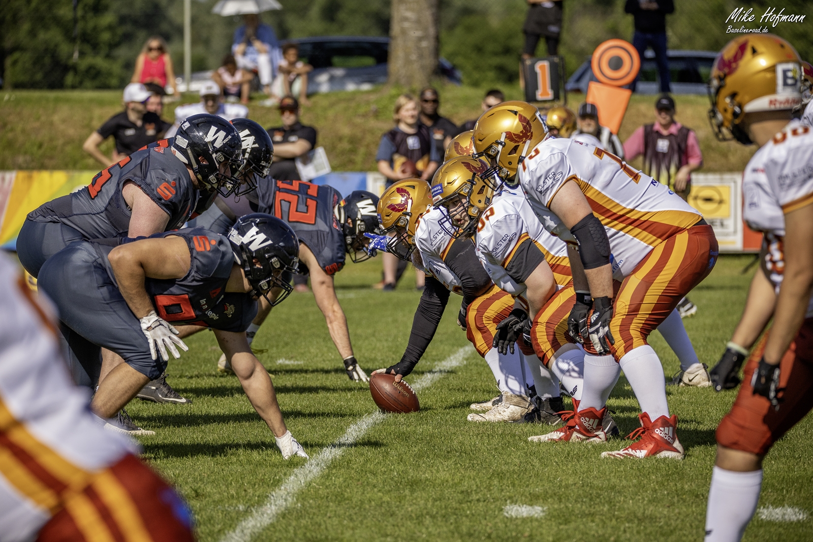 Kirchdorf Wildcats vs Regensburg Phoenix