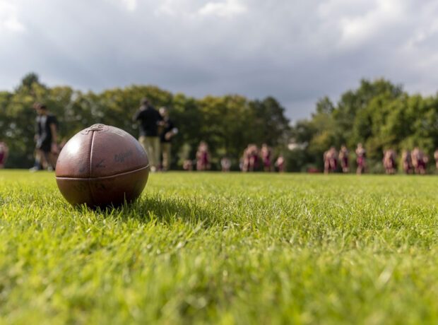 Football auf der Wiese