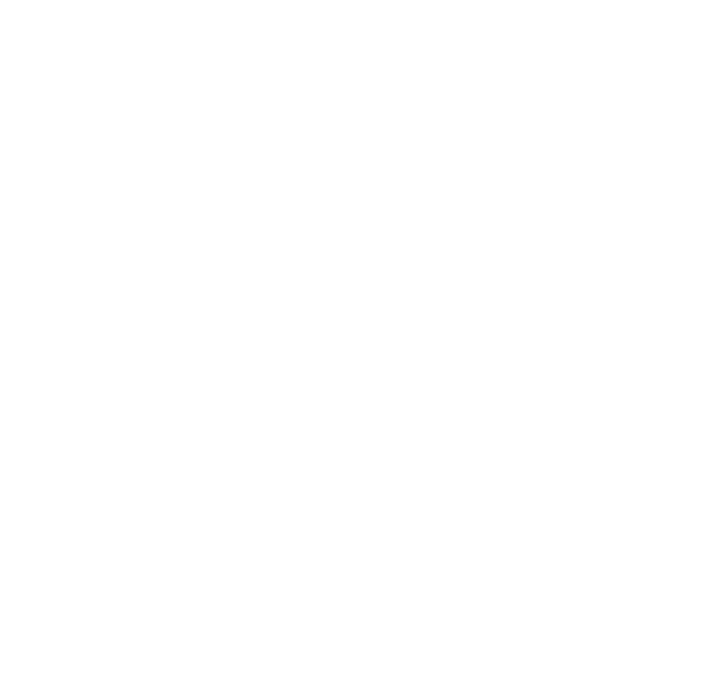 Hurricanes